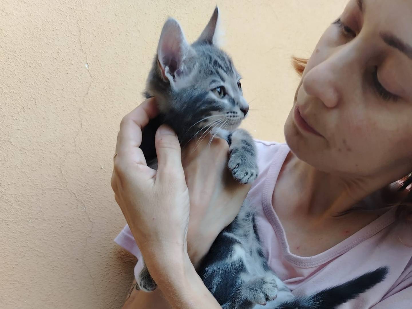 Vuoi adottare un gatto a Brescia?