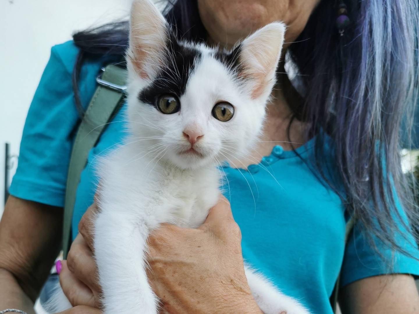 Foto dell'animale