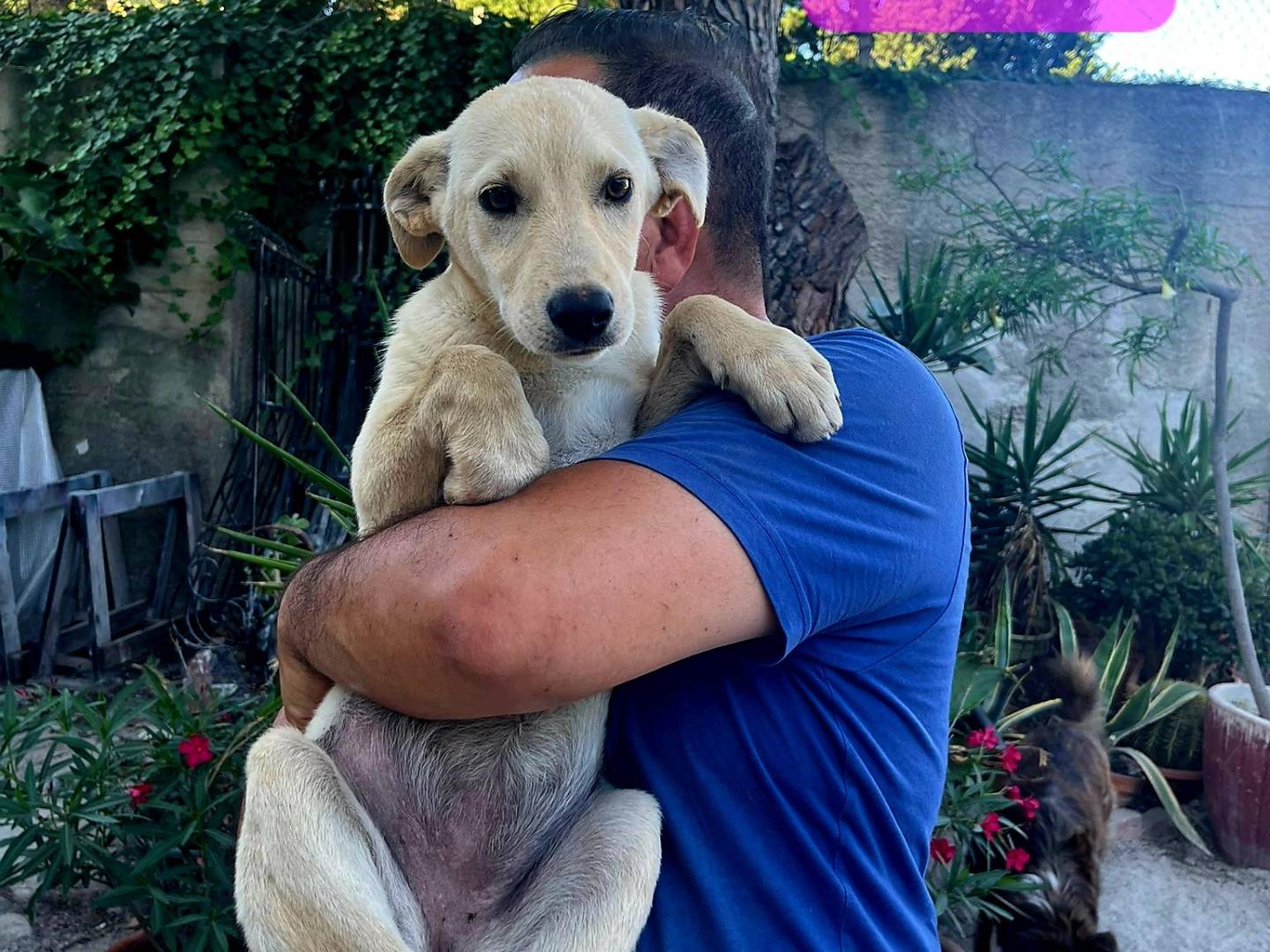 Foto dell'animale