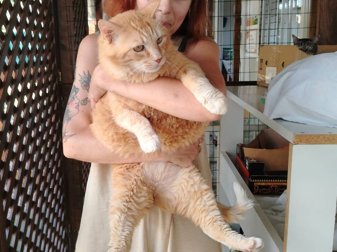 Foto dell'animale