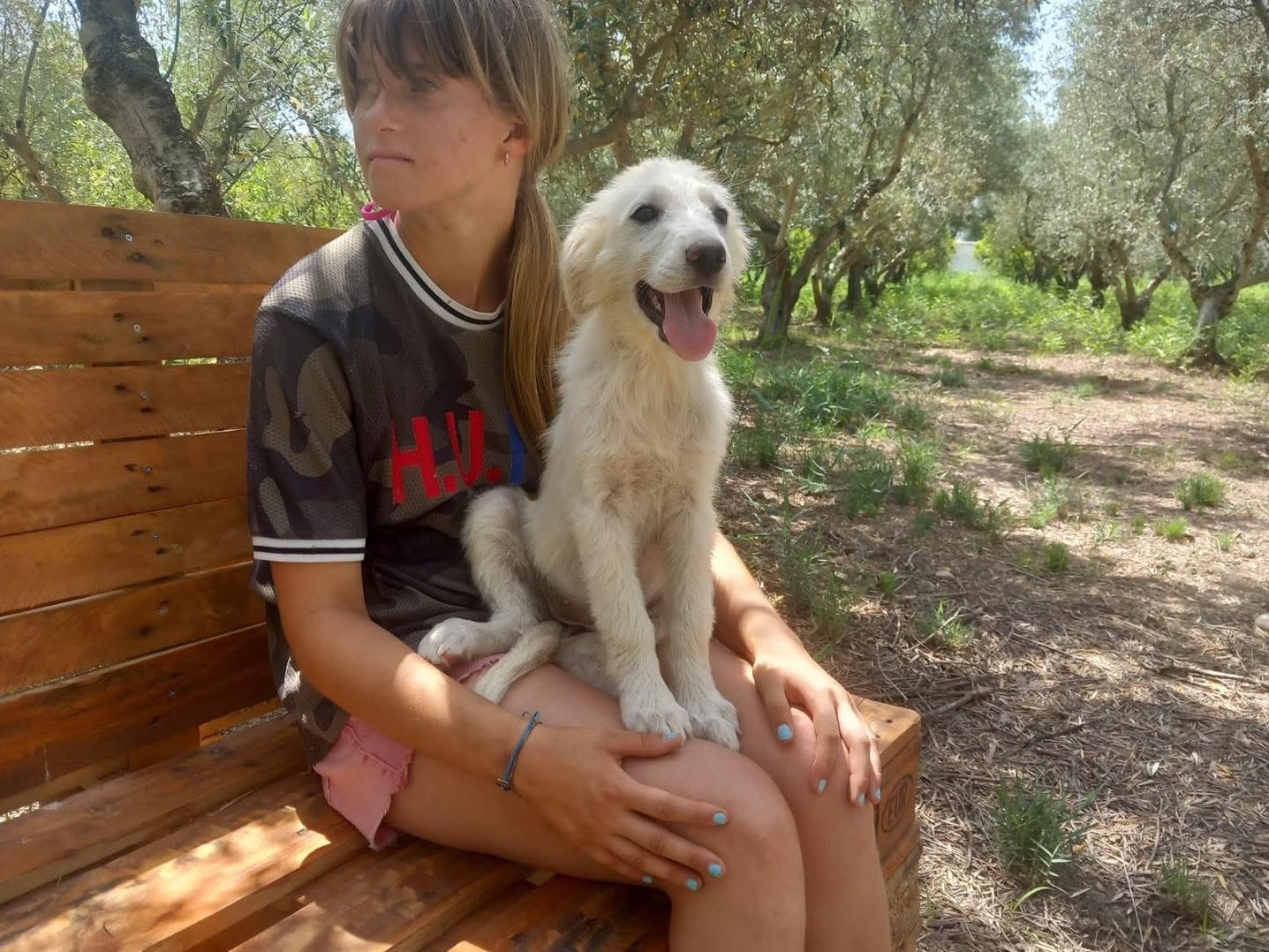 Foto dell'animale