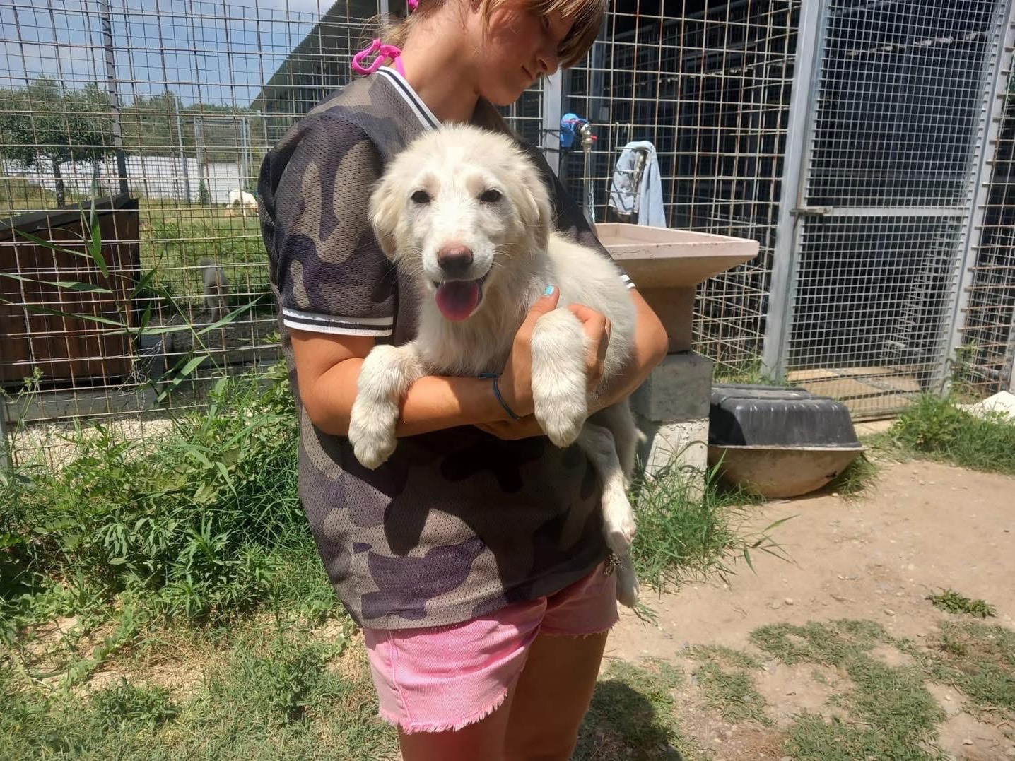Adotta un cane, femmina, 3 mesi, Cosenza