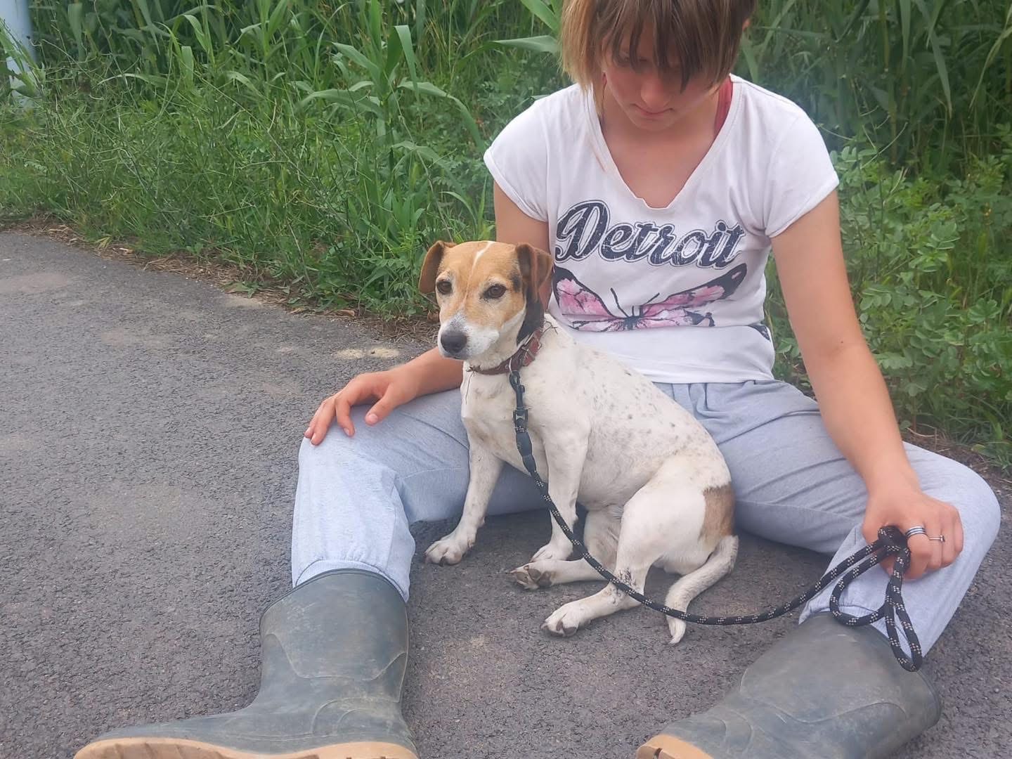 Adozione cane, femmina, Jack Russell Terrier Razza sconosciuta, 9 anni e 6 mesi, taglia piccola, Cosenza