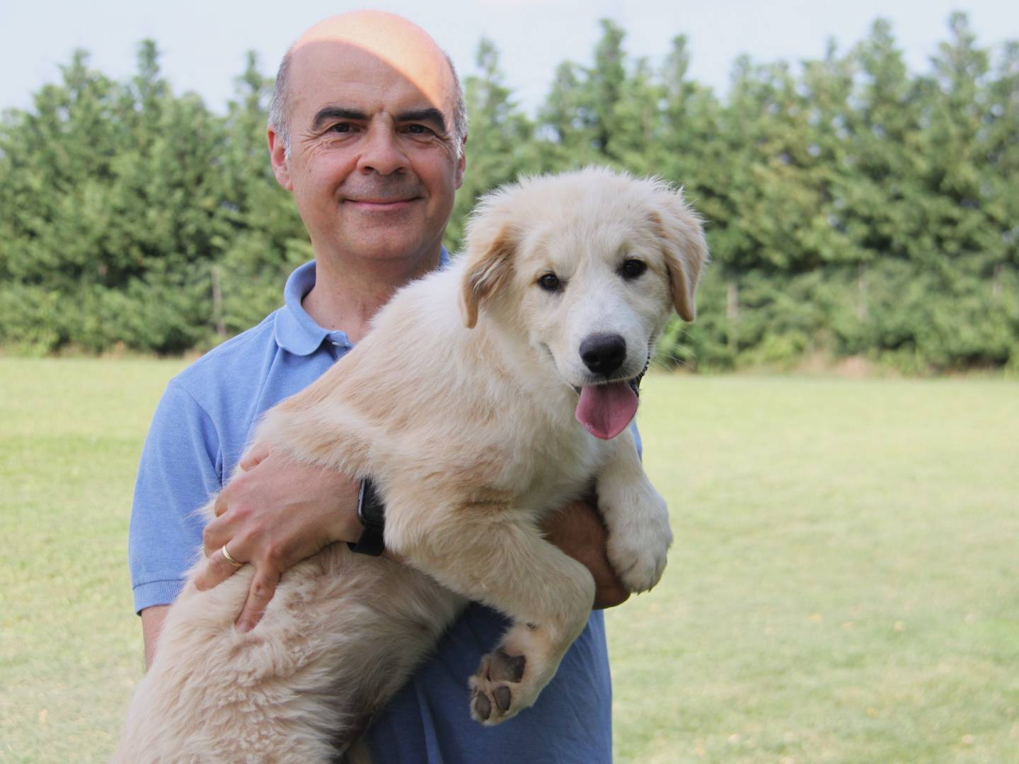 Vuoi adottare un cane a Piacenza?