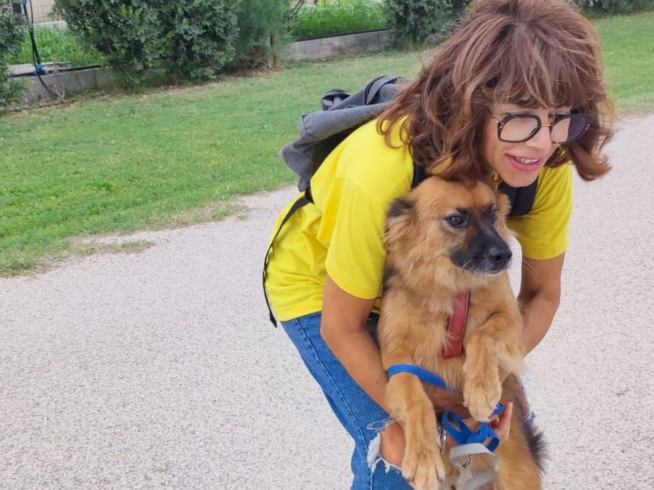 Adotta il cane Elvis a Bari
