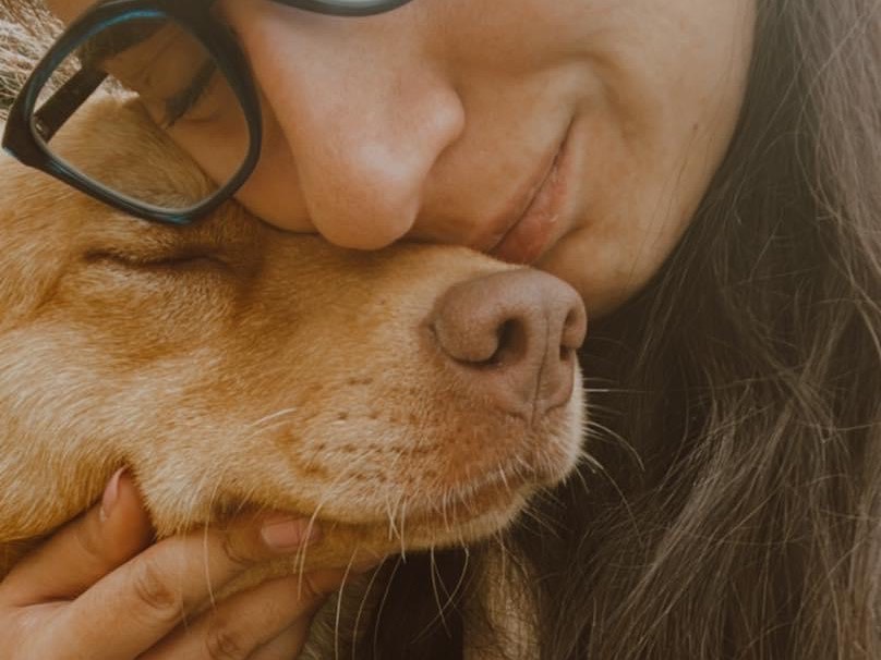 Vuoi adottare un cane a Laquila?