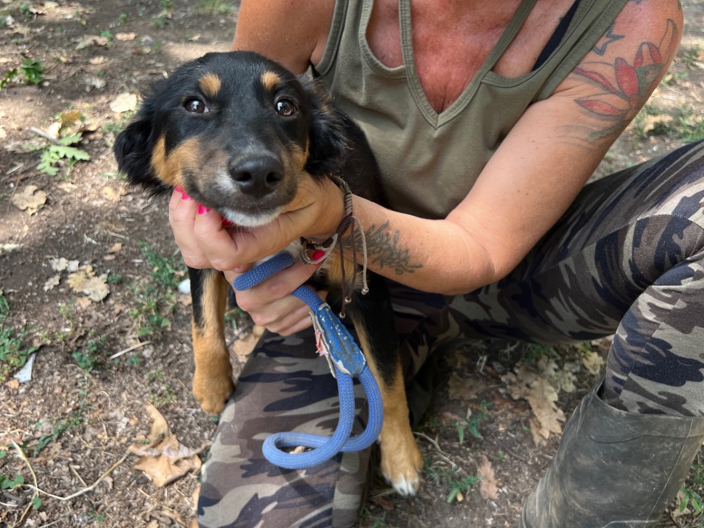 Adotta un cane, taglia media contenuta, femmina, Roma