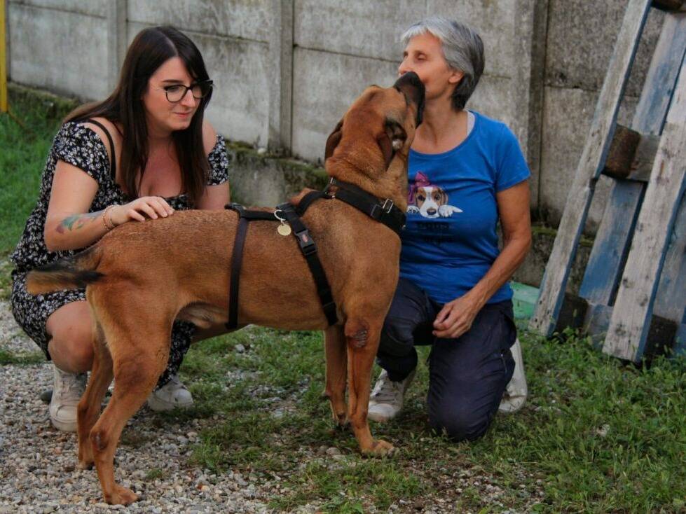 Foto 3 dell'animale