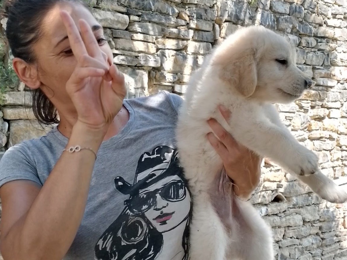 Foto 1 dell'animale