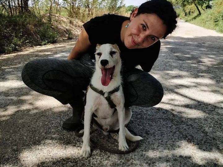 Adotta un cane, taglia piccola, maschio, Viterbo