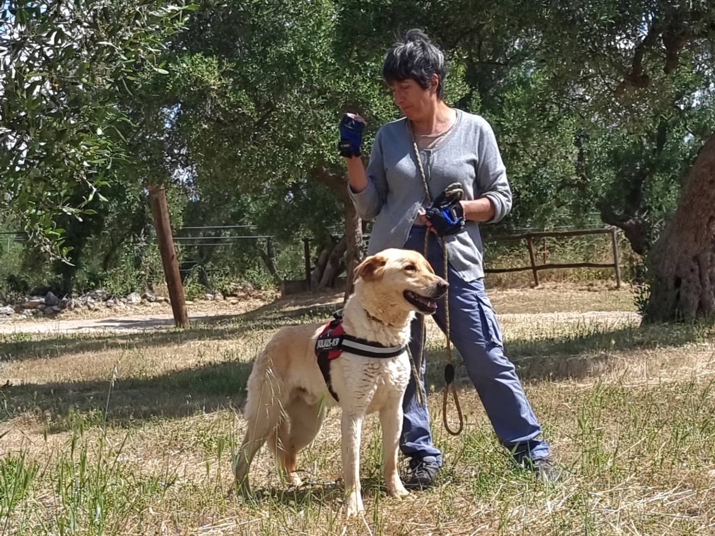 Adotta il cane Ciabatta a Bari