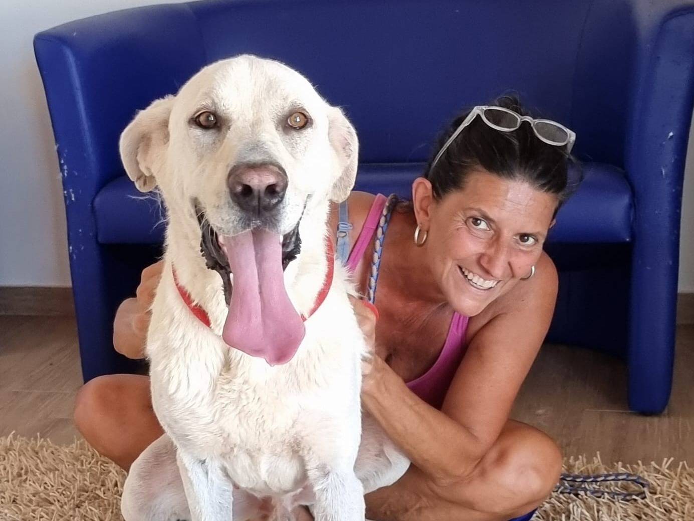 Vuoi adottare un cane a Bari?