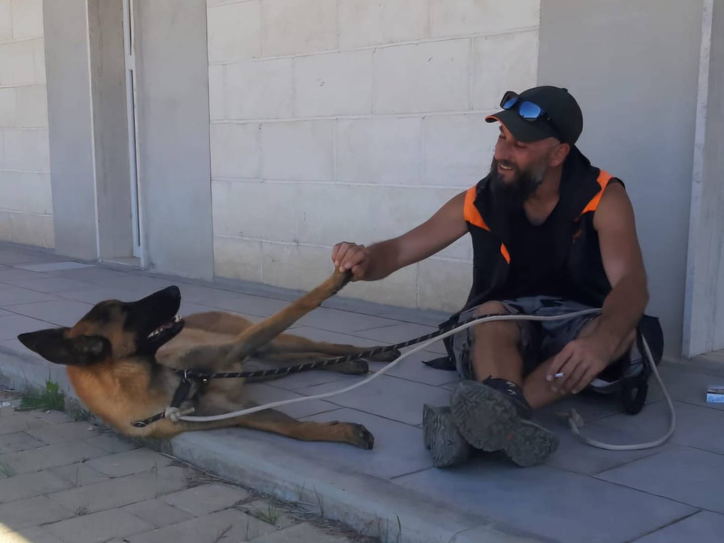 Vuoi adottare un cane a Bari?