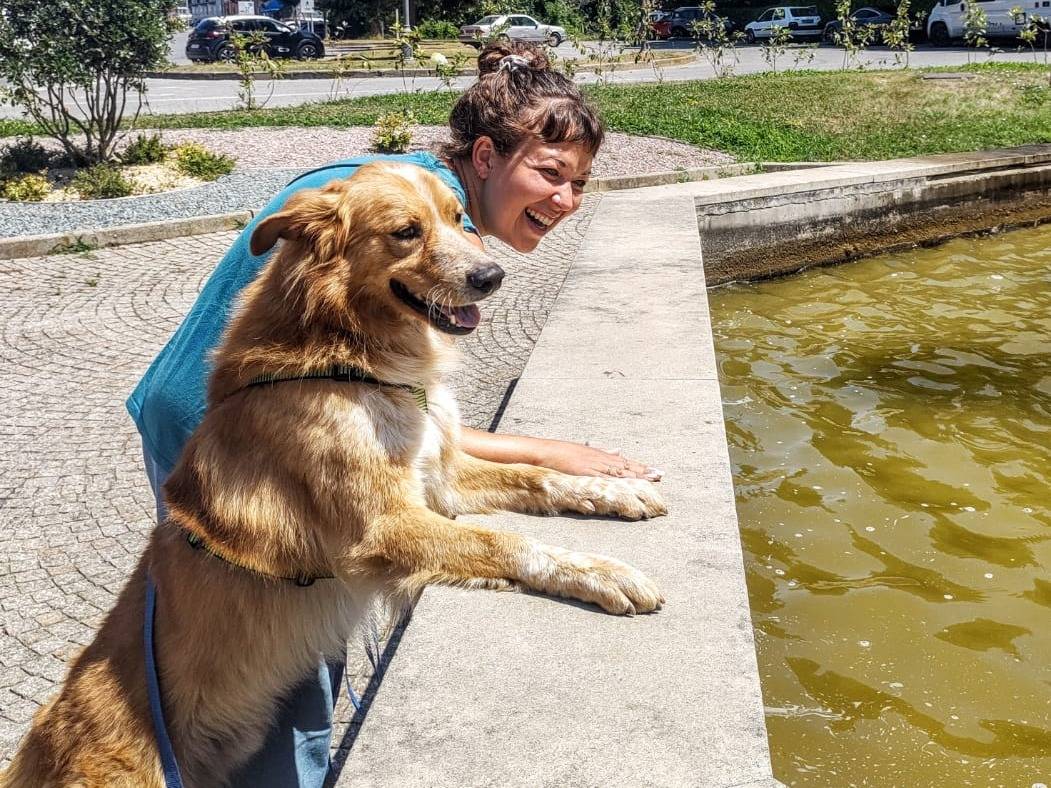 Vuoi adottare un cane a Cuneo?