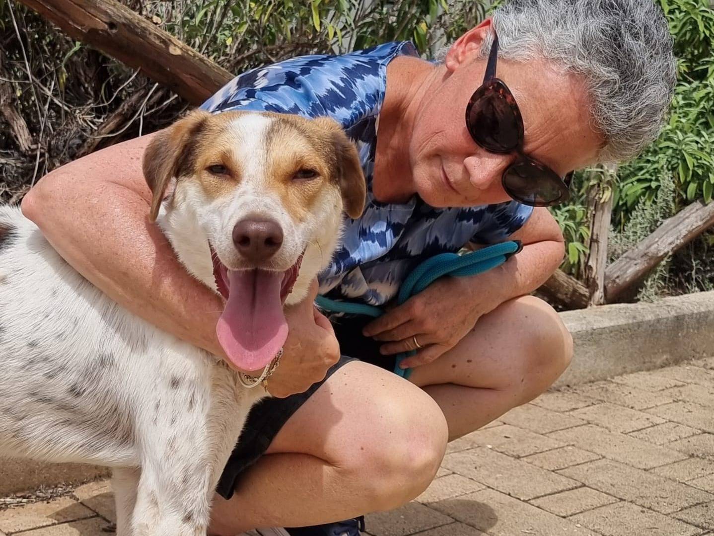 Adotta un cane, maschio, 3 anni e 2 mesi, Bari
