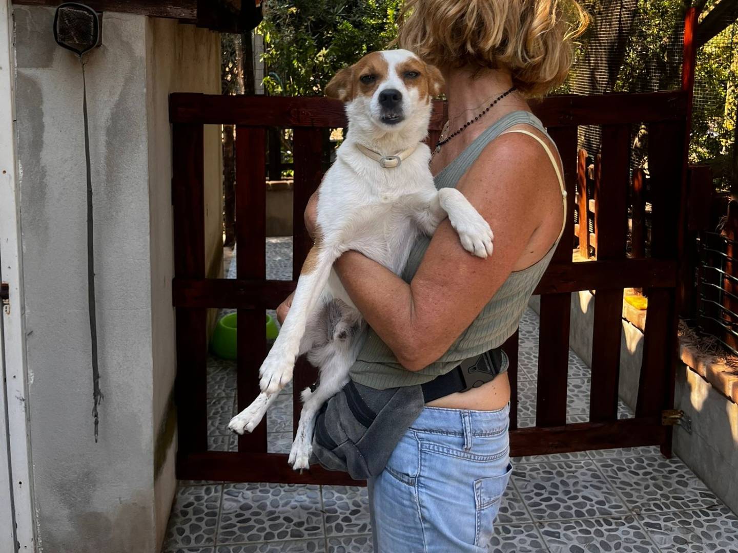 Adotta un cane, taglia piccola, maschio, Oristano