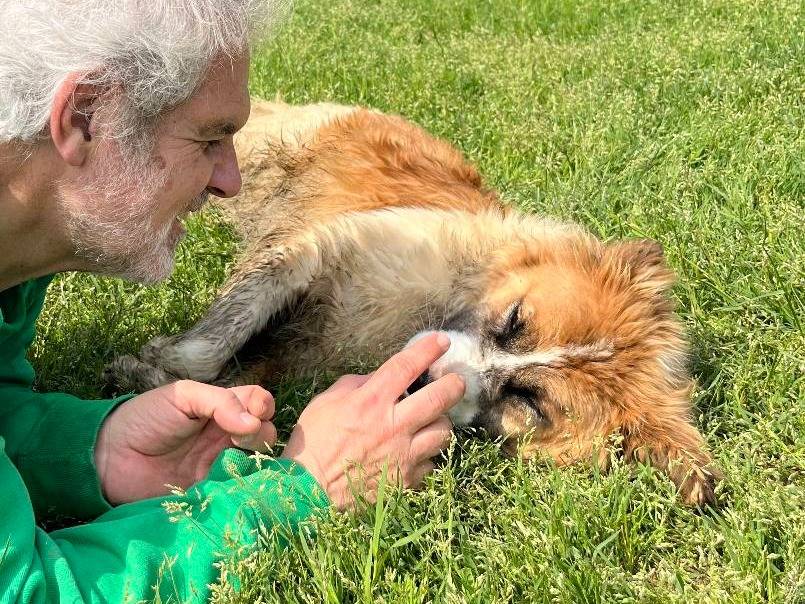 Vuoi adottare un cane a Frosinone?