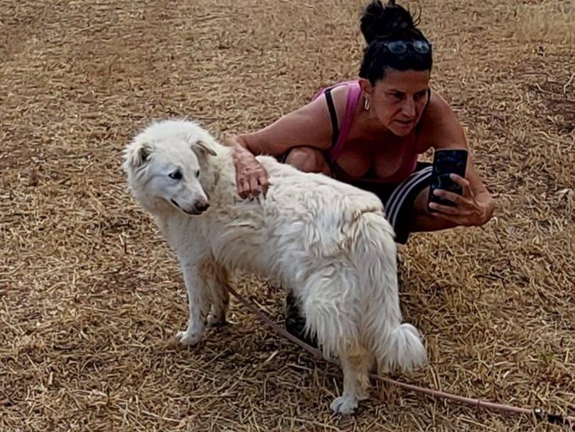 Foto 3 dell'animale