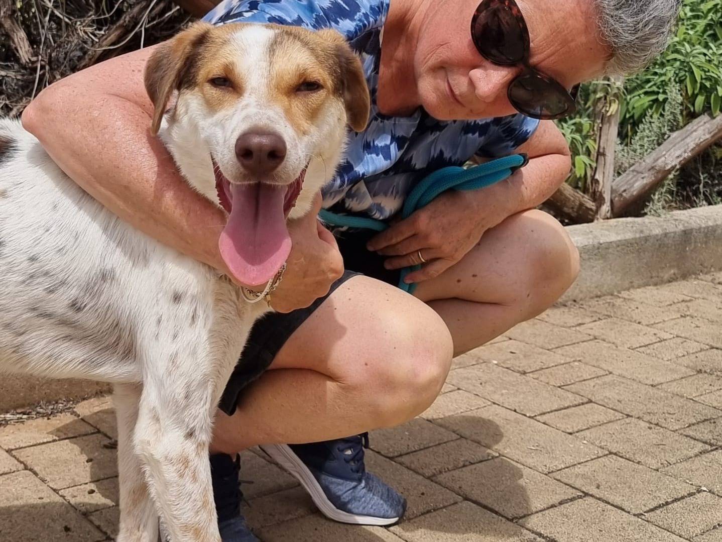 Adotta il cane Duplo a Bergamo