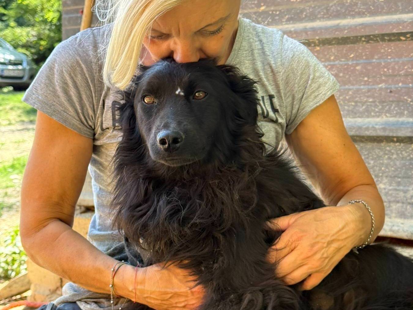 Vuoi adottare un cane a Firenze?
