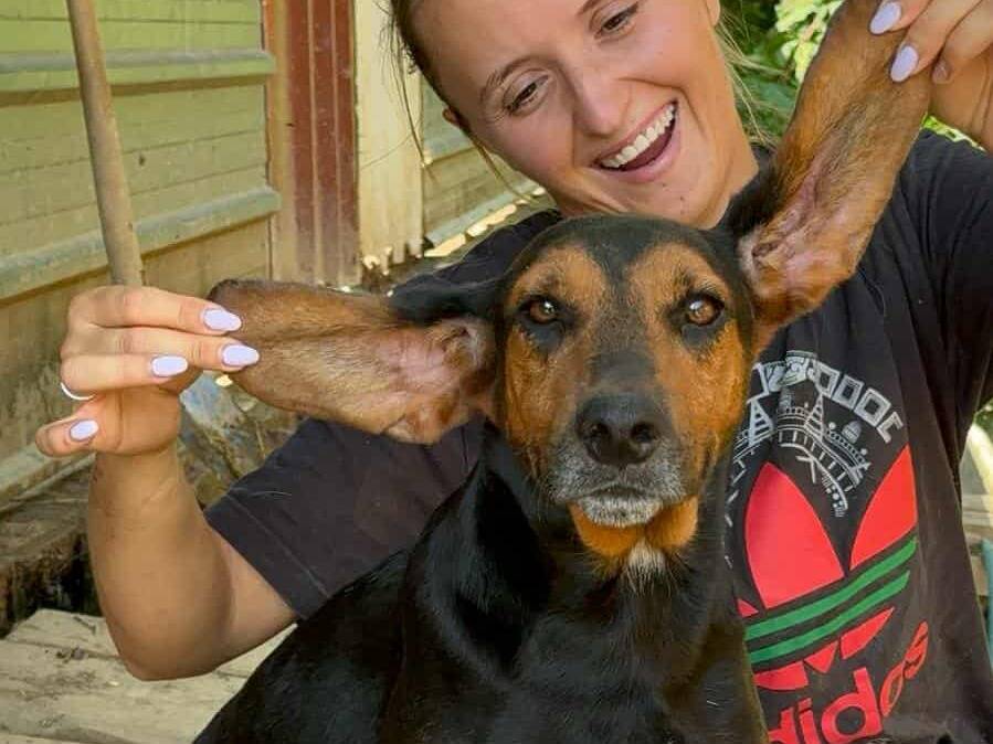 Vuoi adottare un cane a Firenze?