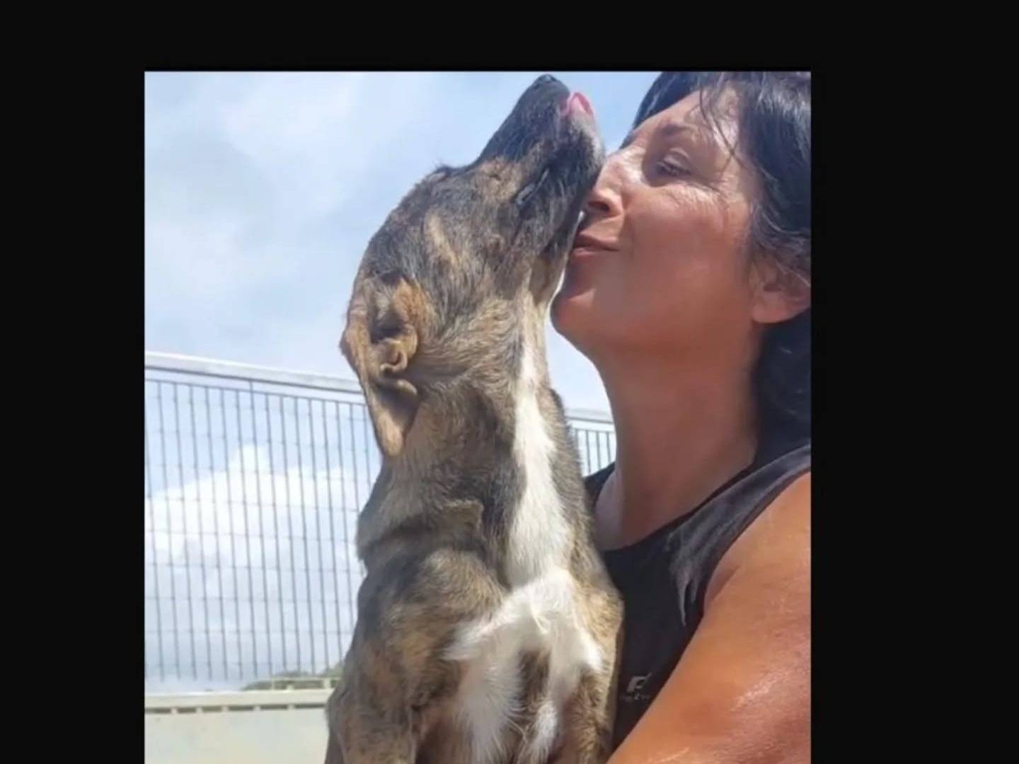 Adotta un cane, femmina, 5 mesi, Latina