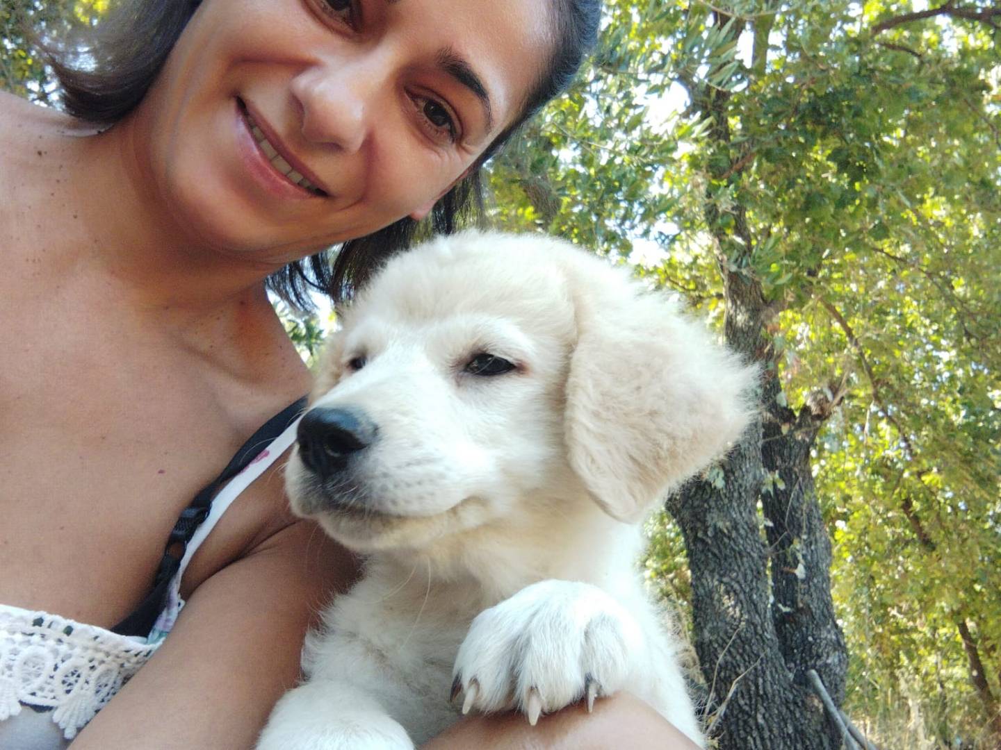 Foto 3 dell'animale