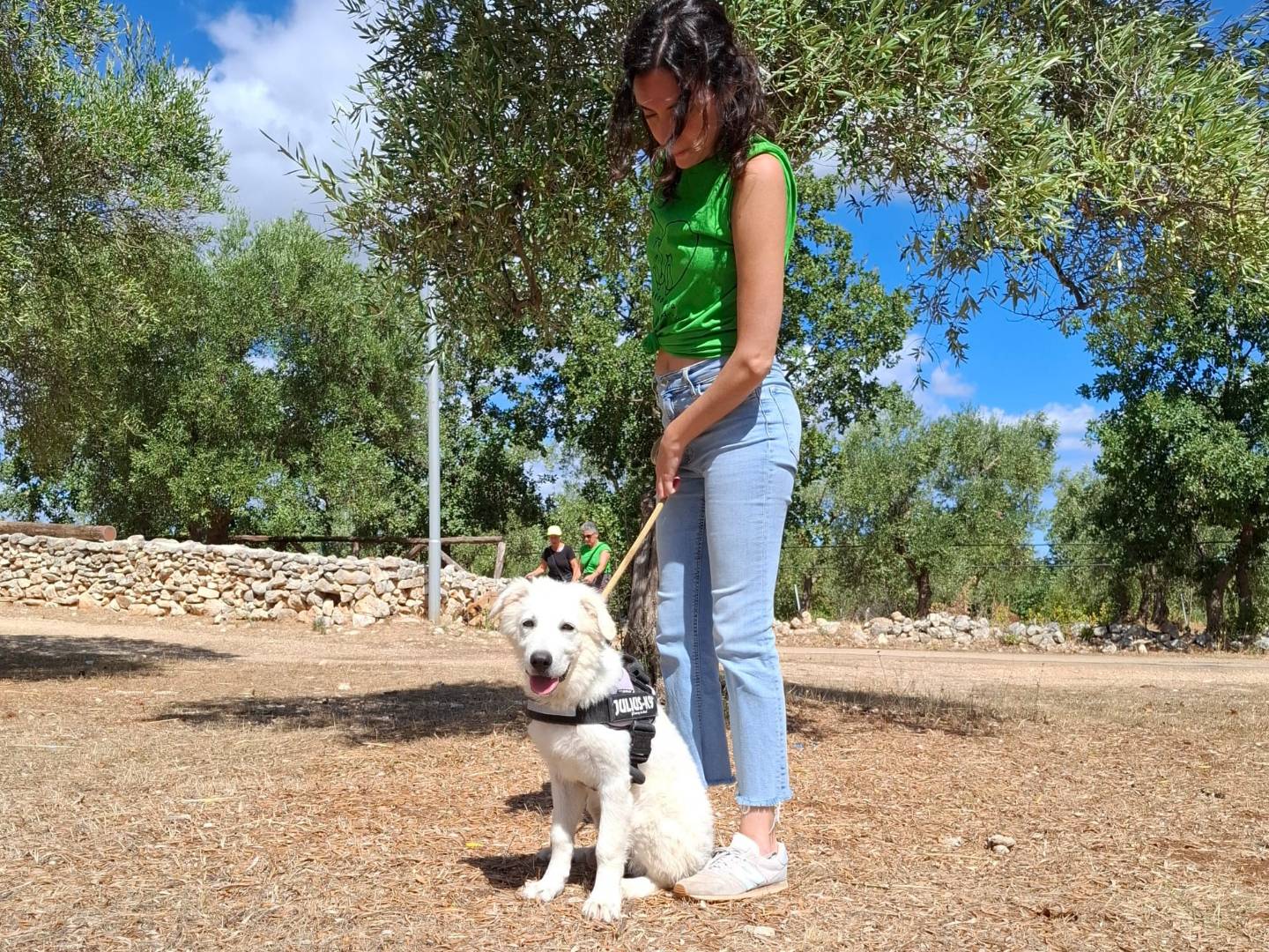 Adotta un cane, maschio, 3 mesi, Padova