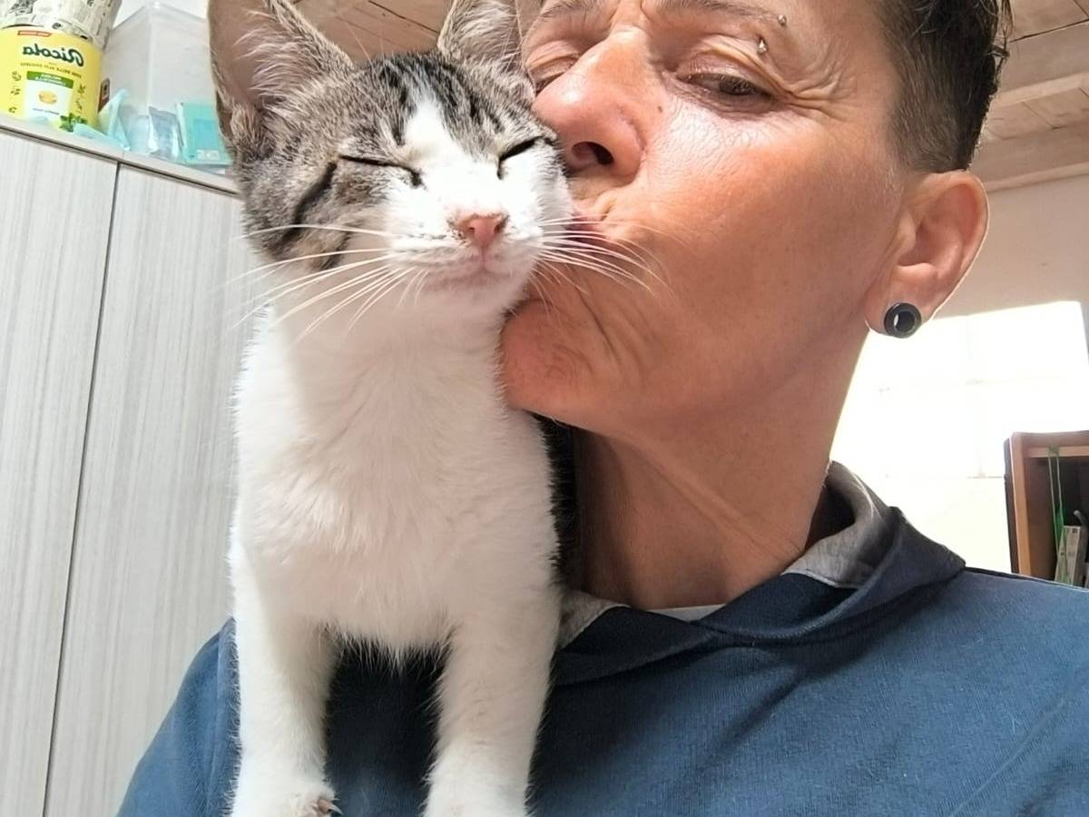 Foto 1 dell'animale