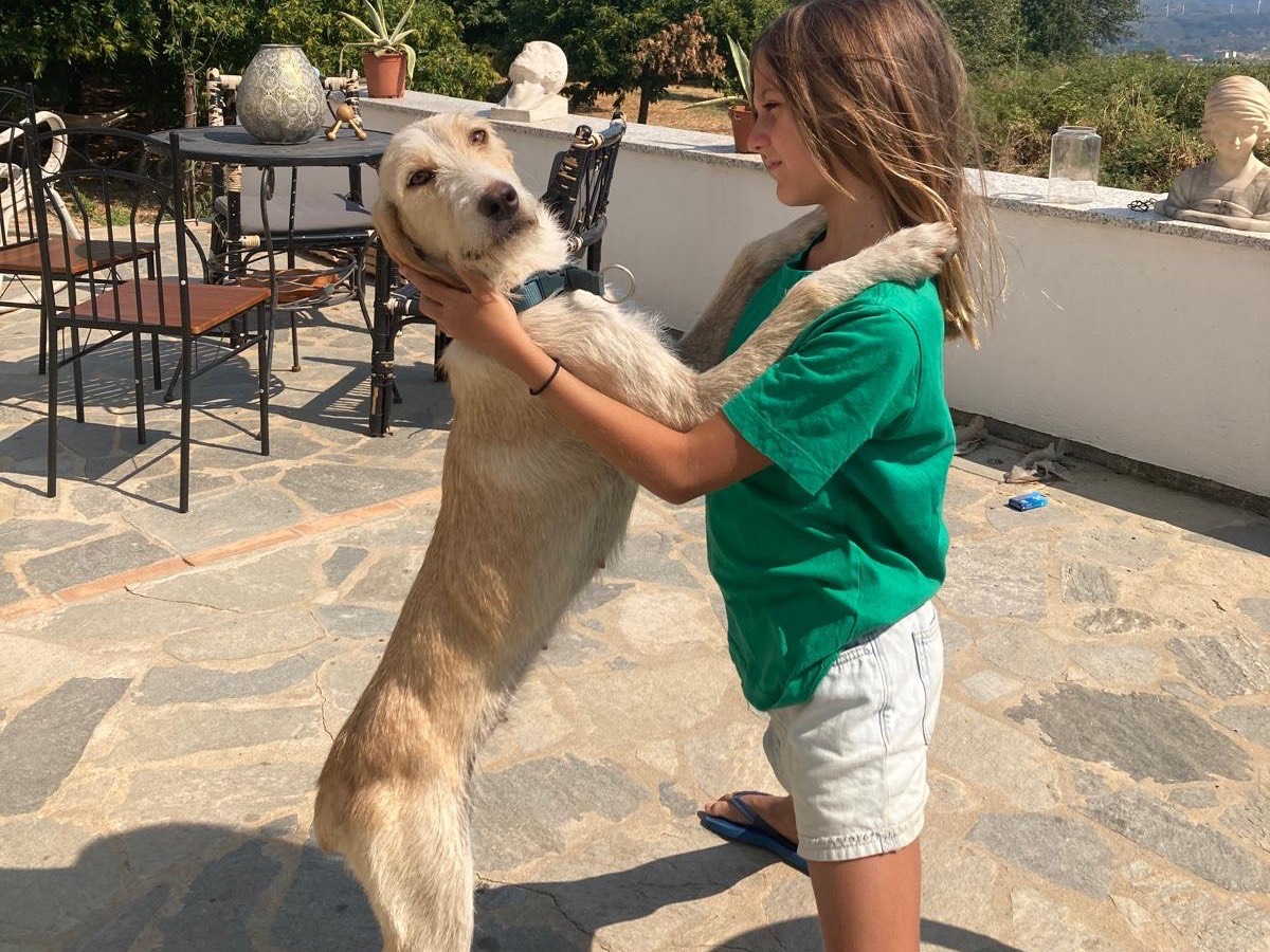 Adozione cane, femmina, Razza sconosciuta Razza sconosciuta, 1 anno, taglia media contenuta, Catanzaro