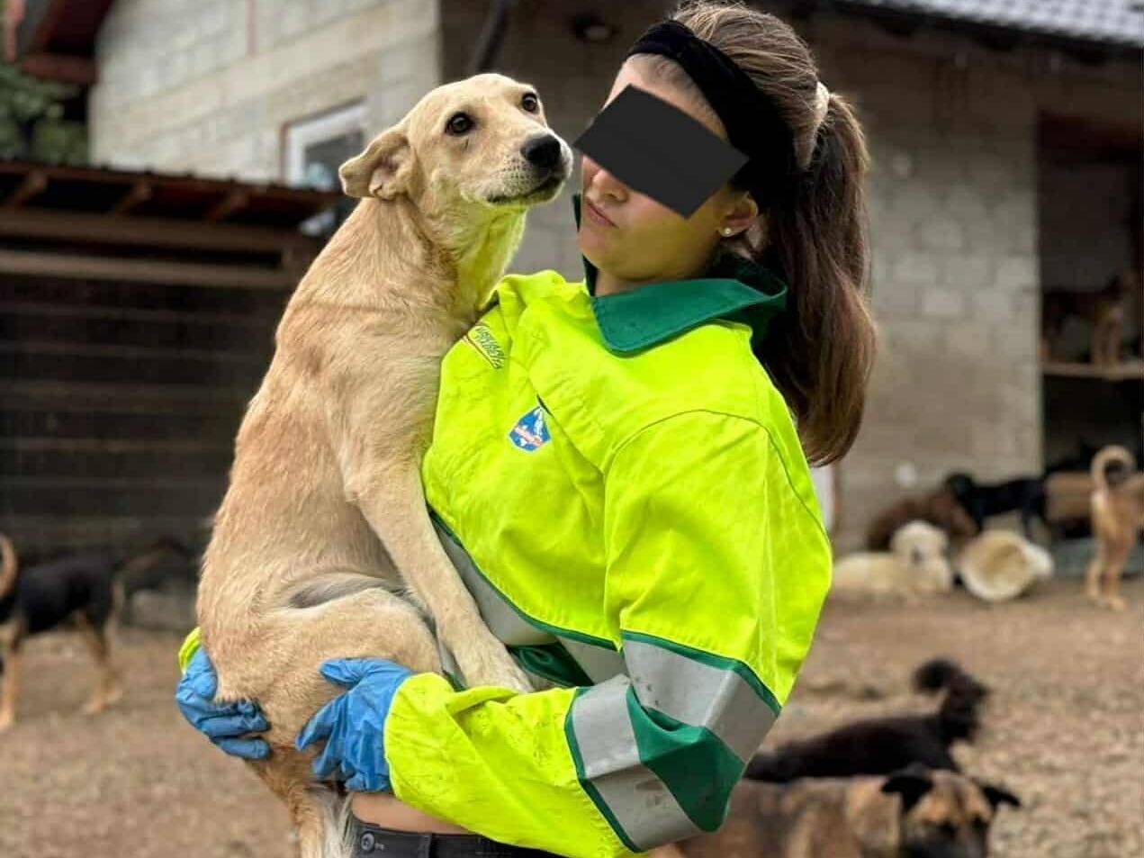 Adotta il cane BIANCA a Firenze