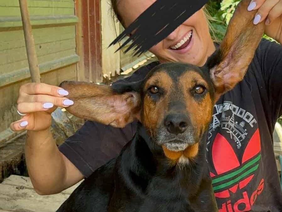 Adotta il cane ULTIMO a Firenze