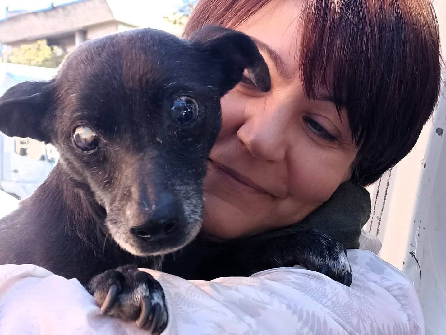 Adotta il cane Bobby a Latina