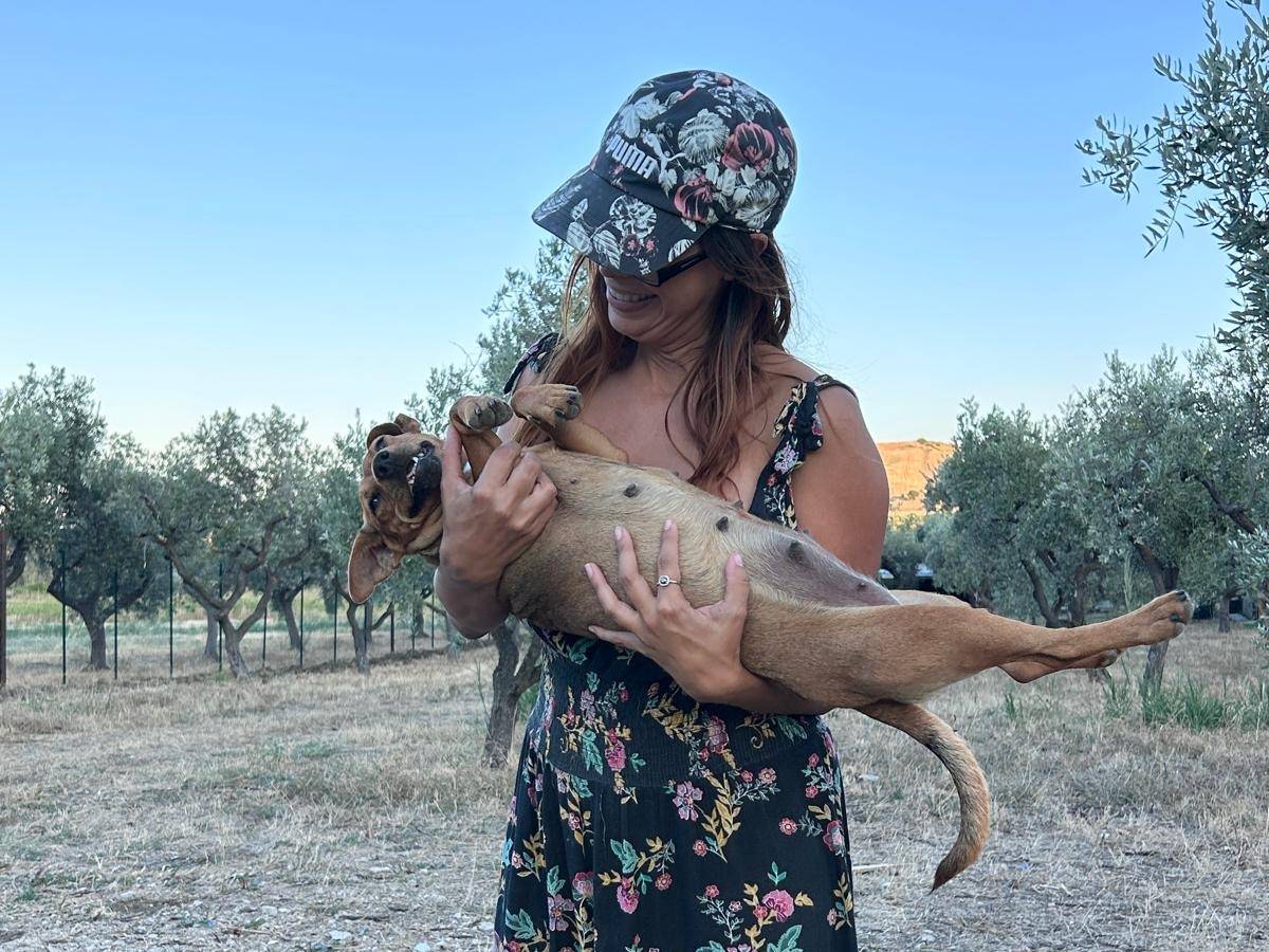 Adotta il cane Nanà a Chieti