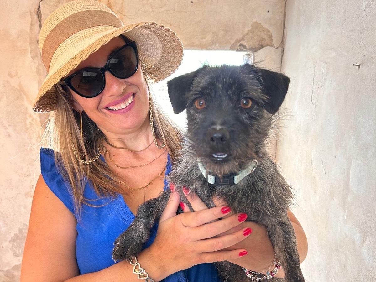 Vuoi adottare un cane a Siracusa?