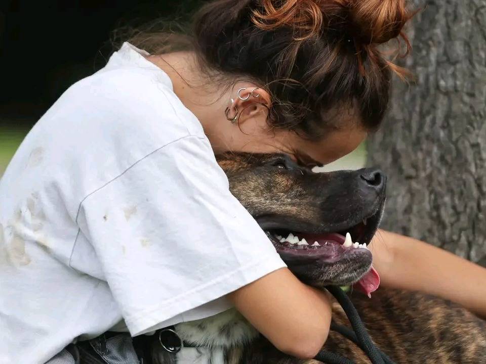 Vuoi adottare un cane a Cremona?