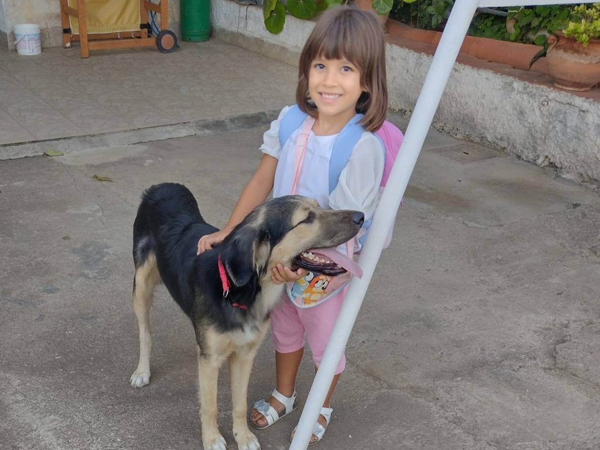 Adotta un cane, maschio, 5 mesi, Catania