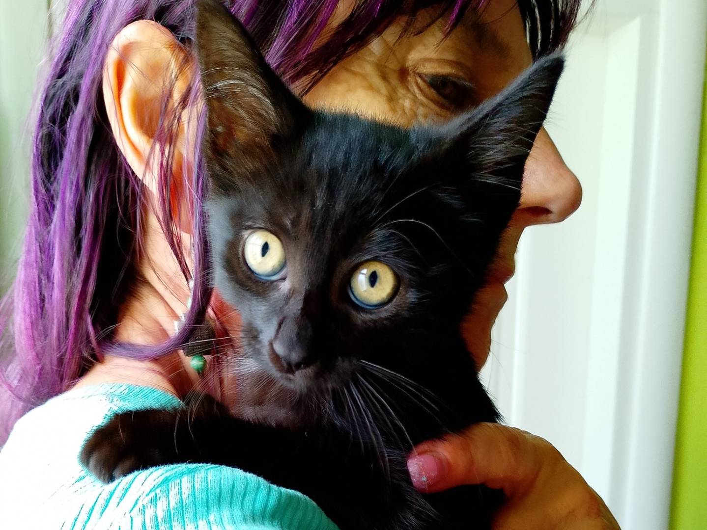 Adozione gatto, femmina, Razza sconosciuta Razza sconosciuta, 2 mesi, taglia non valida, Verona