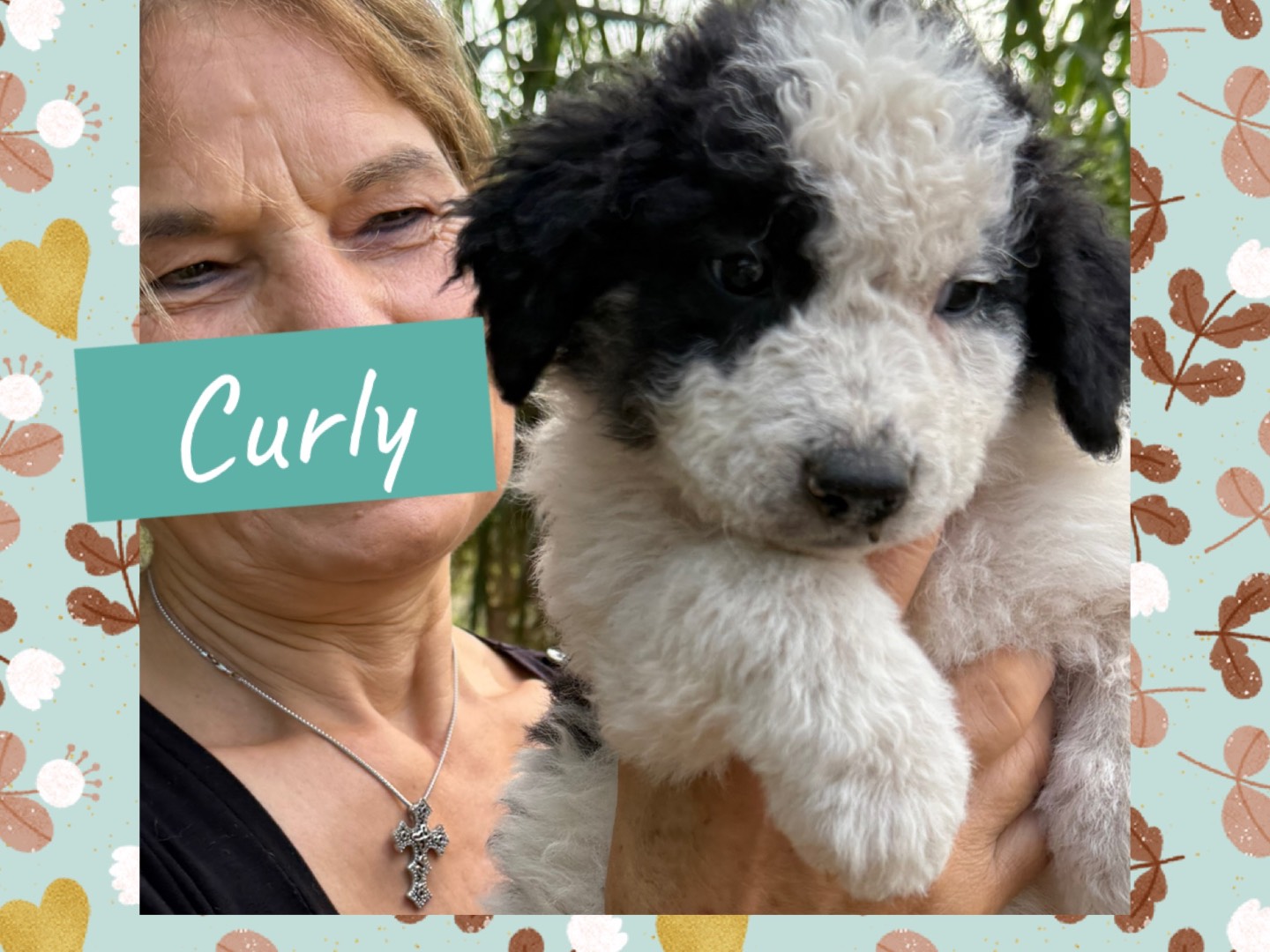 Adozione cane, femmina, Razza sconosciuta Razza sconosciuta, 4 mesi, taglia media, Catanzaro