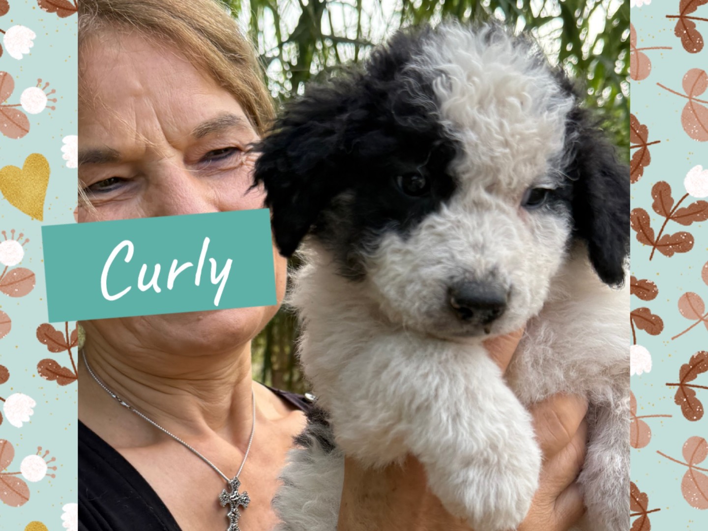 Adotta un cane, femmina, 3 mesi, Catanzaro