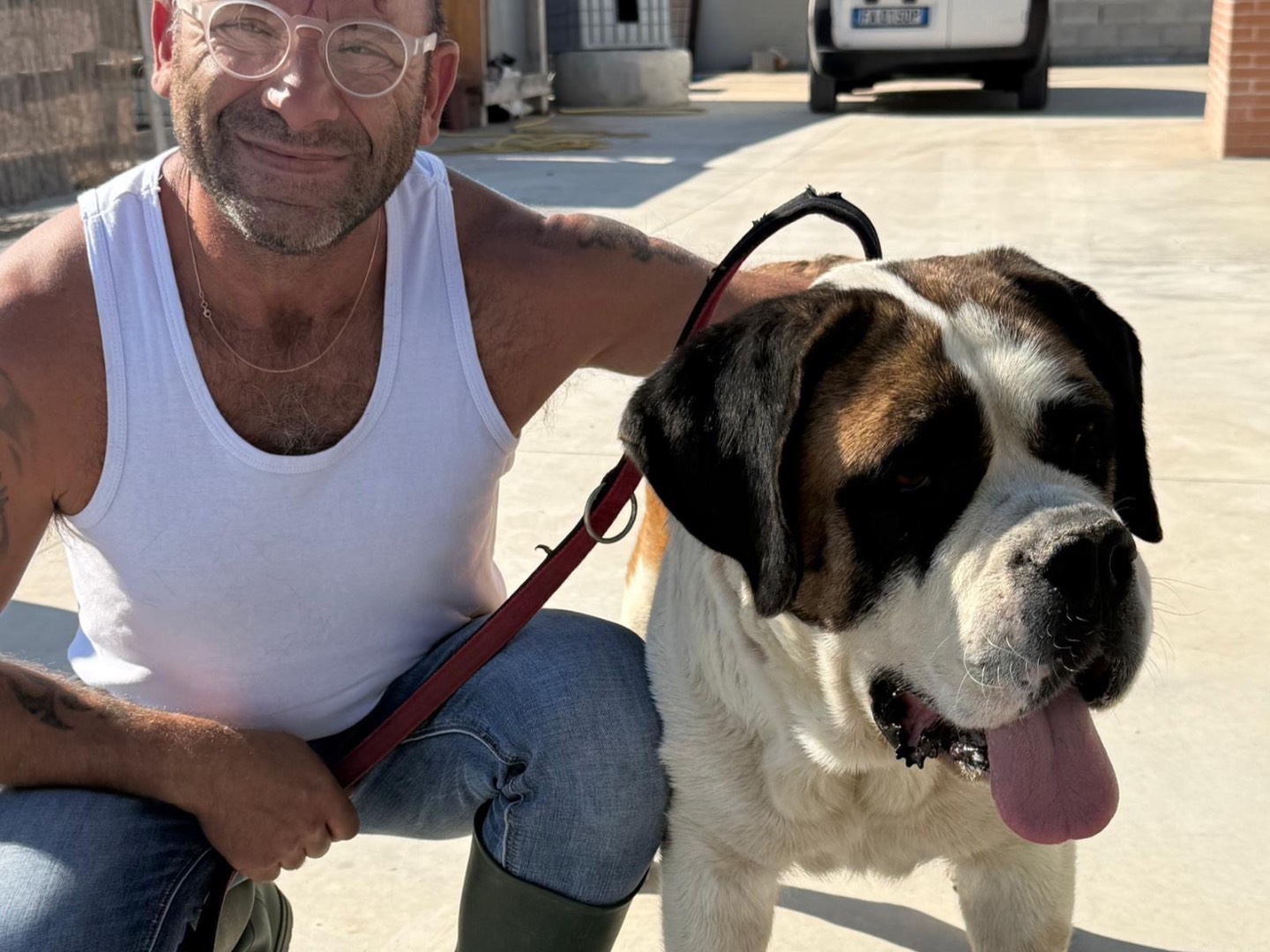 Adotta un cane, taglia gigante, femmina, Foggia