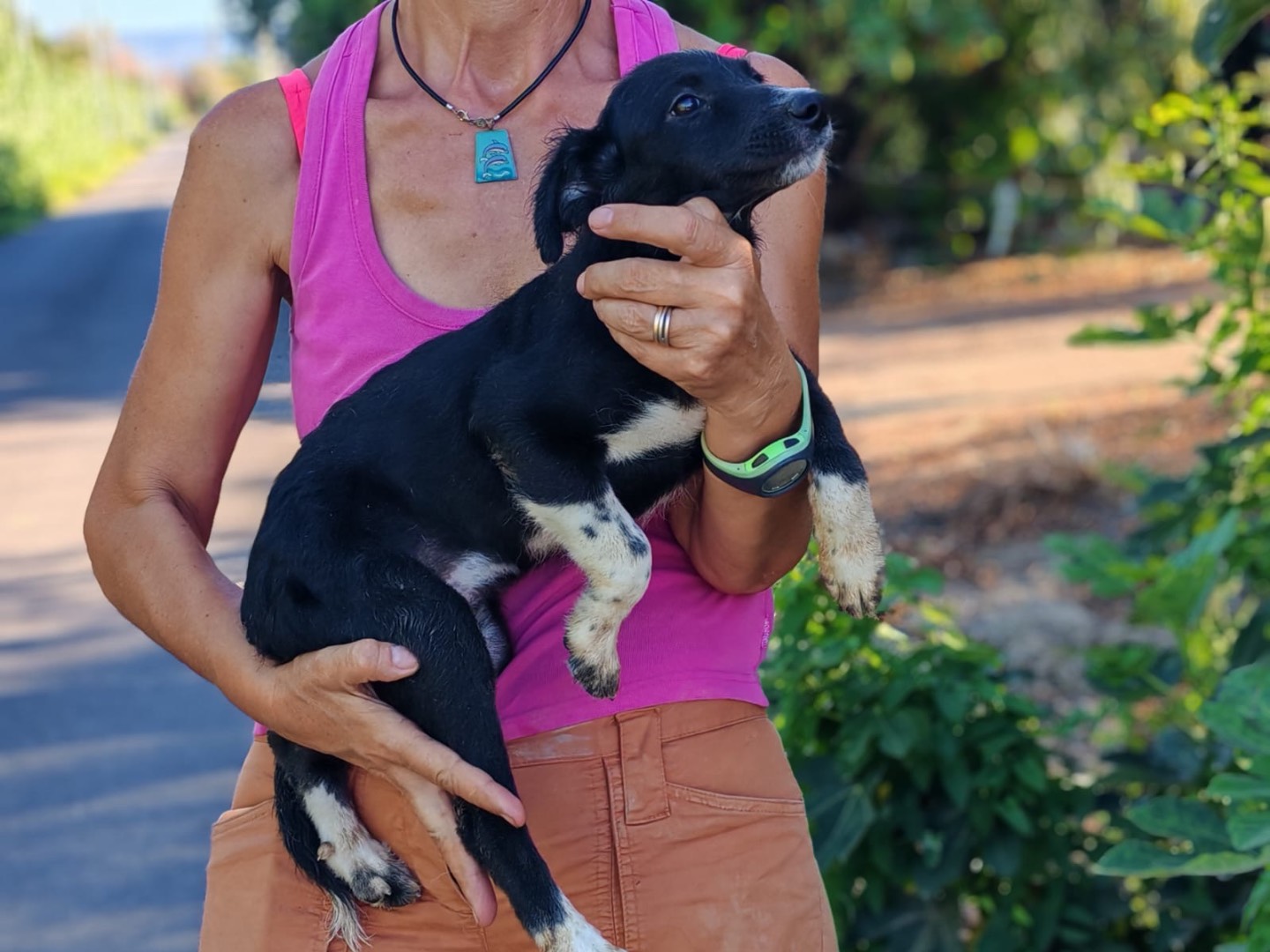 Vuoi adottare un cane a Cosenza?