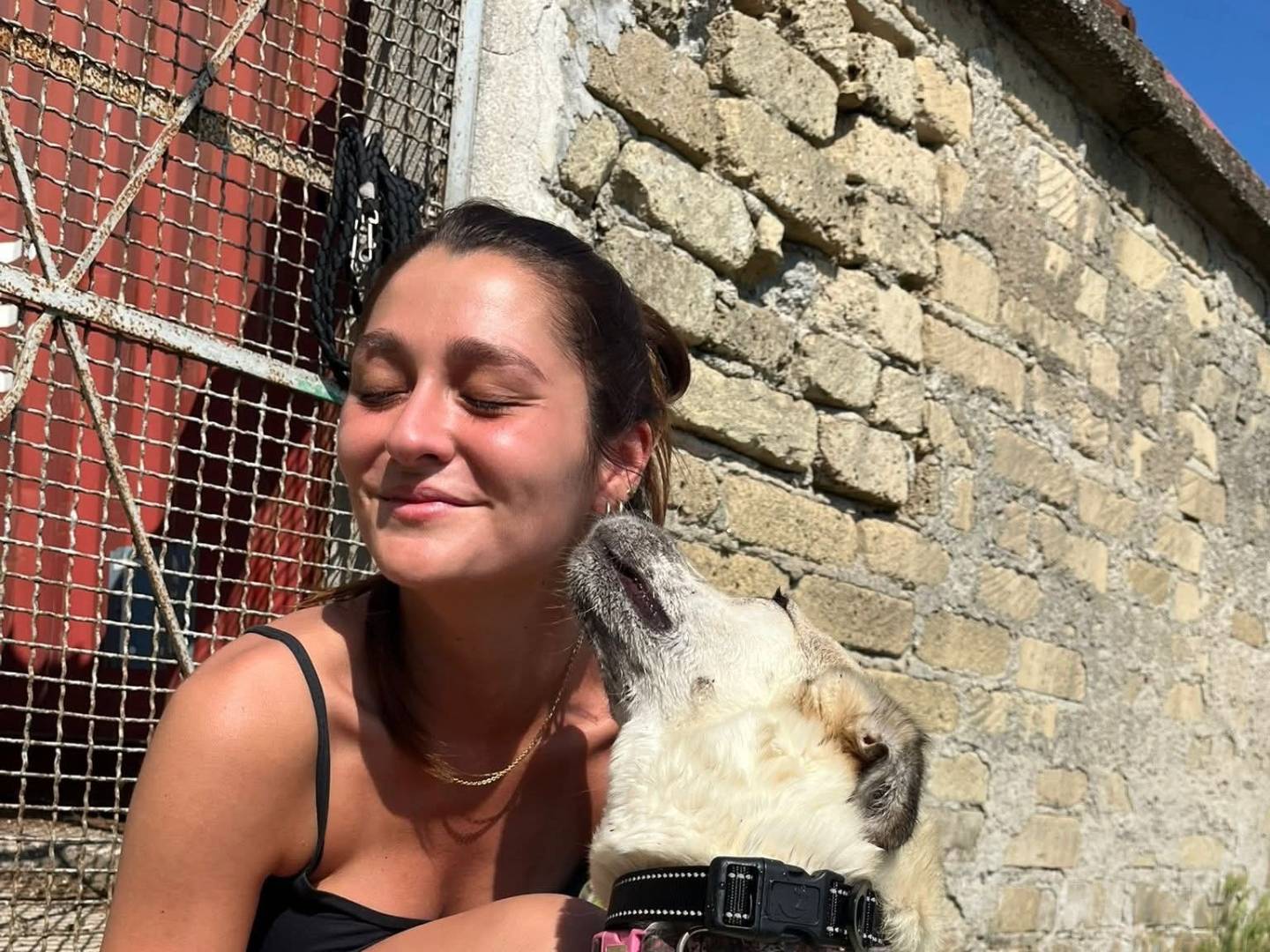 Vuoi adottare un cane a Caserta?