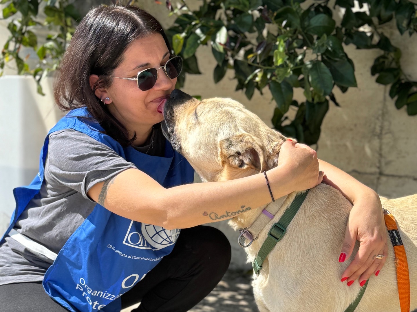 Vuoi adottare un cane a Napoli?