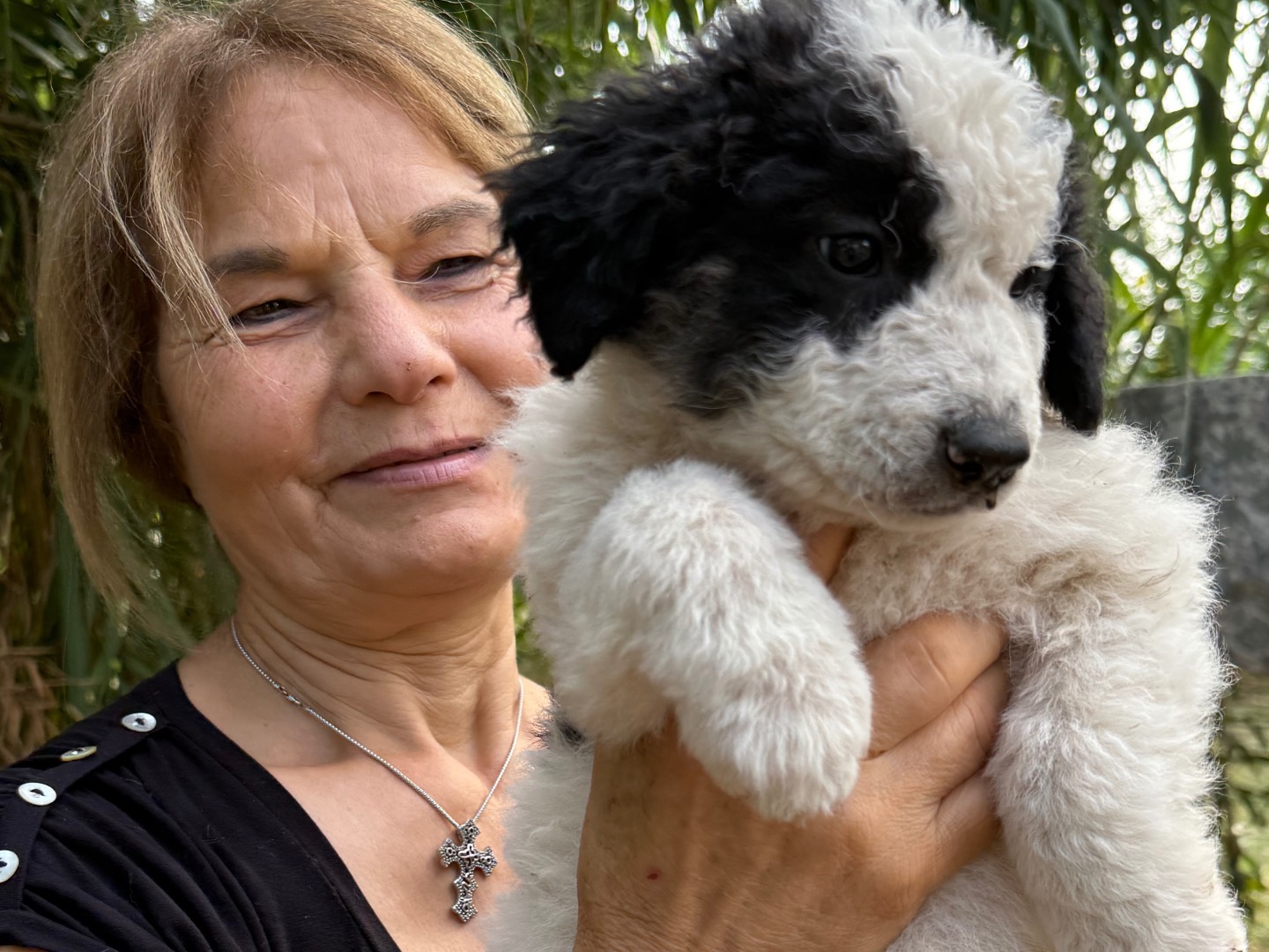 Adotta un cane, femmina, 4 mesi, Catanzaro