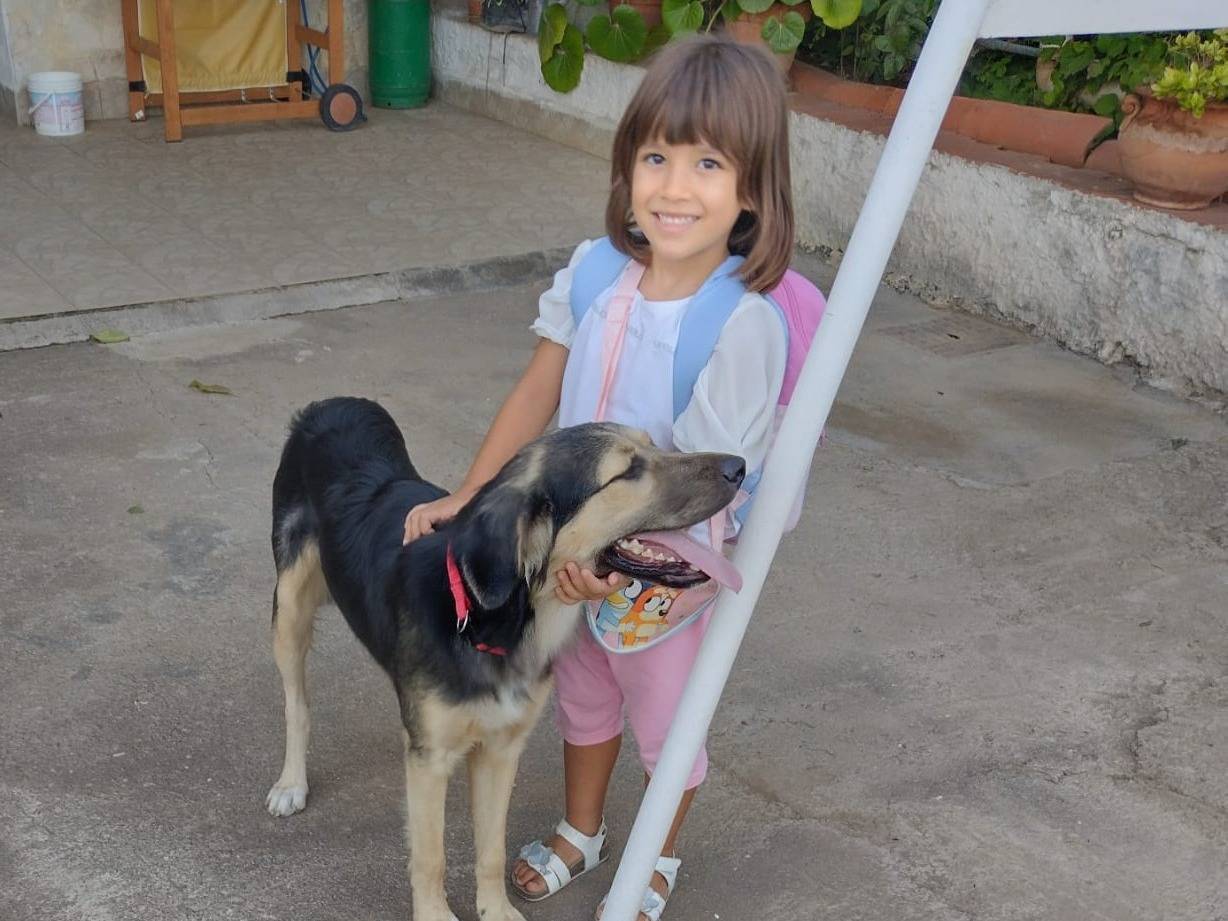 Adotta un cane, maschio, 7 mesi, Catania