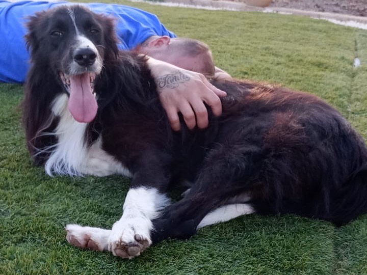 Vuoi adottare un cane a Siracusa?