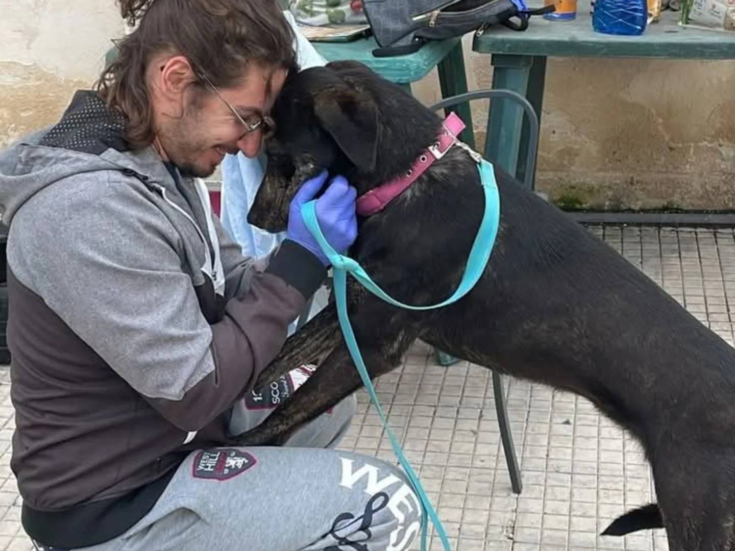 Adotta un cane, femmina, 2 anni e 5 mesi, Catania