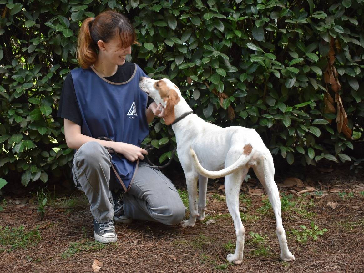 Adotta un cane, taglia media contenuta, femmina, Roma