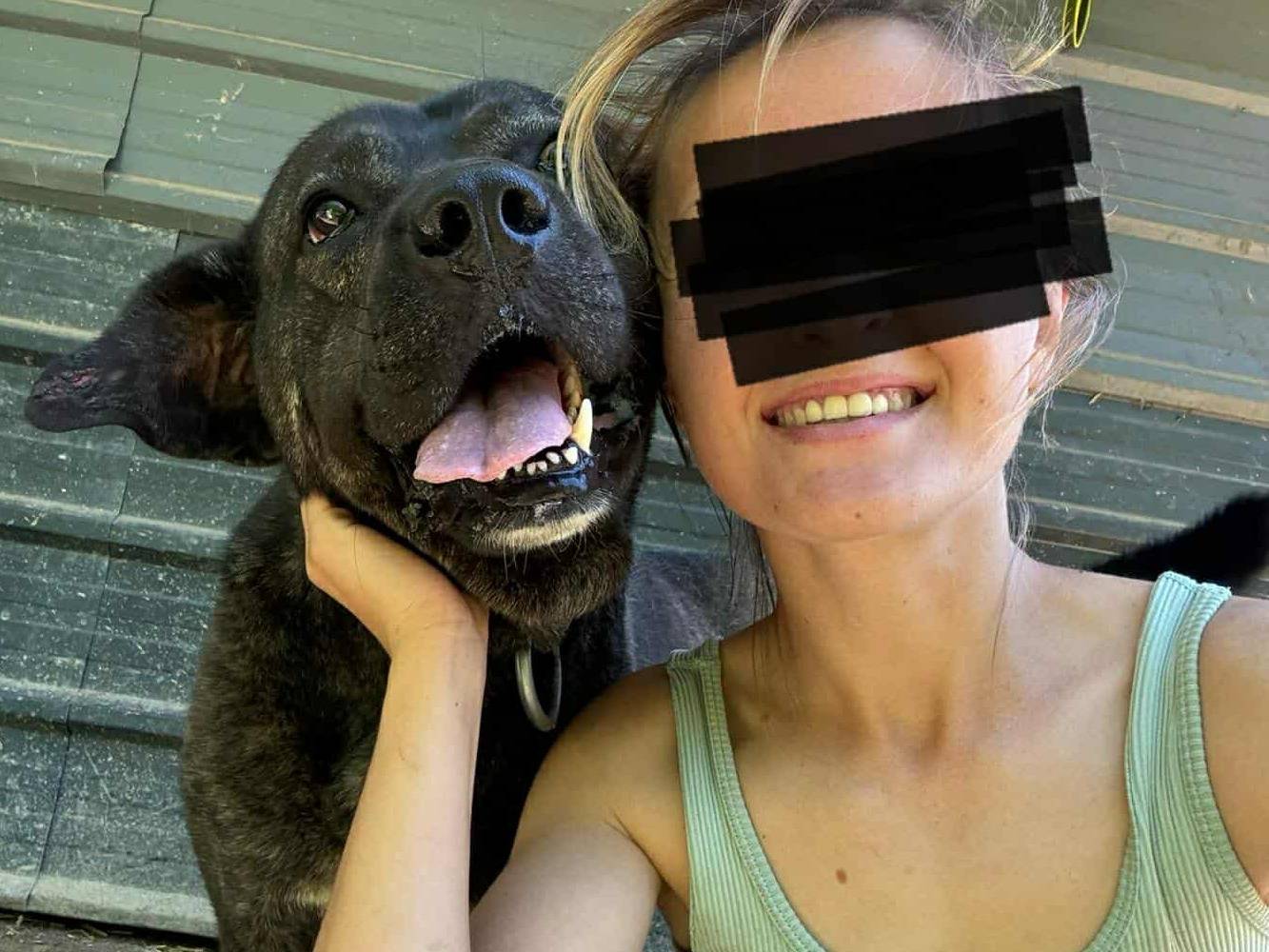 Adotta un cane, maschio, 4 anni e 9 mesi, Firenze